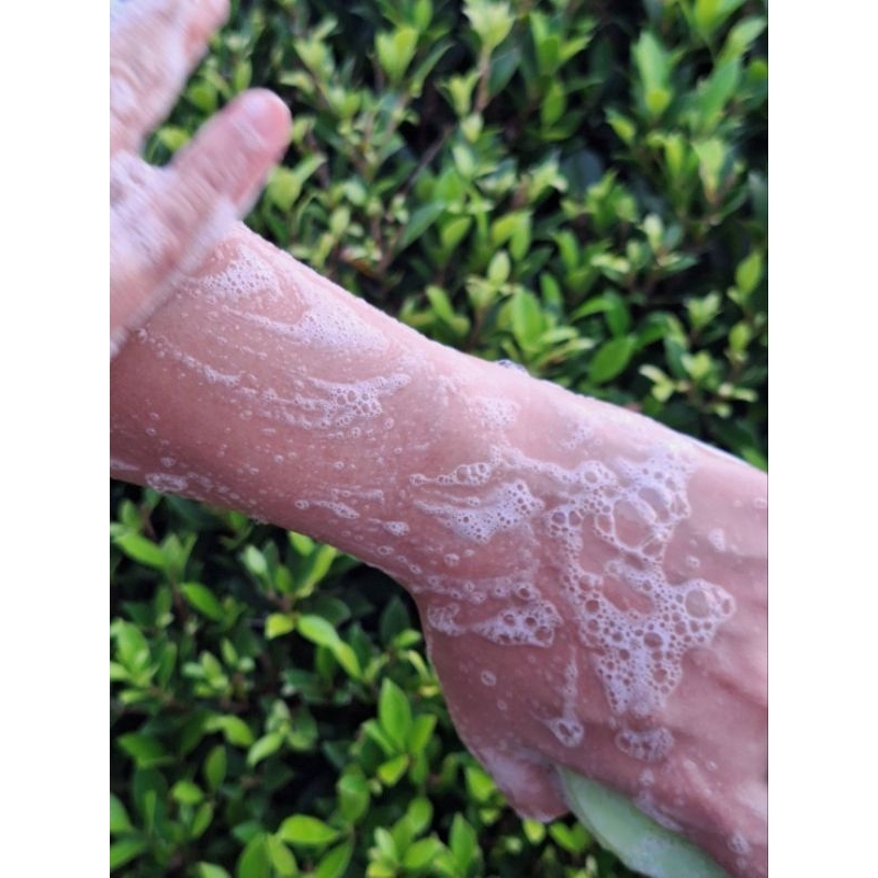 แพ็ค6ก้อน แพ้คัน PM2.5 สิว กลิ่นตัว สบู่แตงกวาใบบัวบก ก้อนใหญ่ 140 กรัม   ฟองเยอะ กลิ่นหอม ละลายช้า - รูปที่ 5