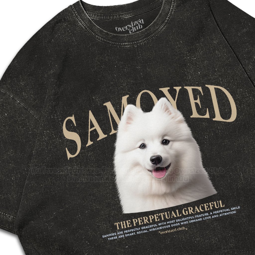 เสื้อยืดโอเวอร์ไซส์ สกรีนลาย Samoyed ซามอยด์ [Oversize Cotton 100% by Oversized Club]