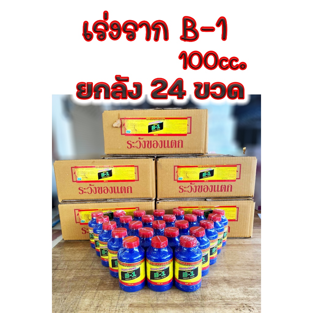 (ยกลัง 24 ขวด) B1 น้ำยาเร่งราก Fuji Start B-1 บี วัน ขนาด100 cc. เร่งราก เเคคตัส กระบองเพชร ไม้ฟอกอากาศ บอนสี ไม้ด่าง