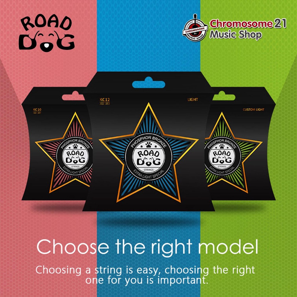 สายกีตาร์โปร่งเคลือบกันสนิม Road Dog
