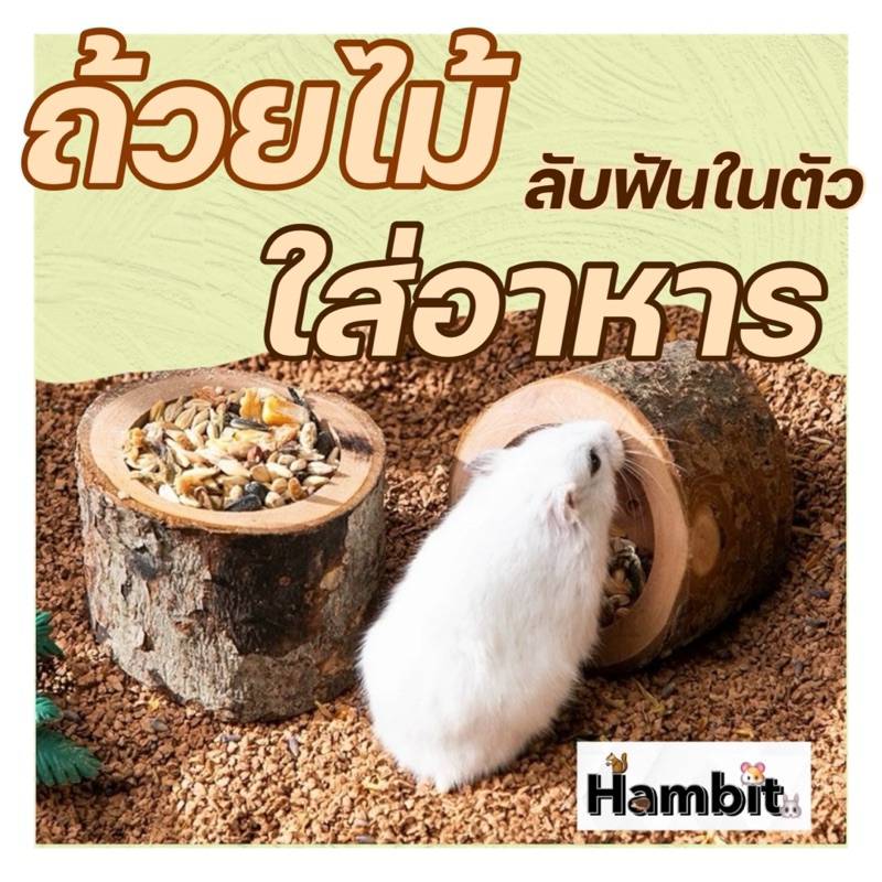 Hambit. ถ้วยไม้ใส่อาหาร ใส่อาหารสัตว์เลี้ยง ช่วยลับฟันในตัว ปลอดภัย ธรรมชาติ100%