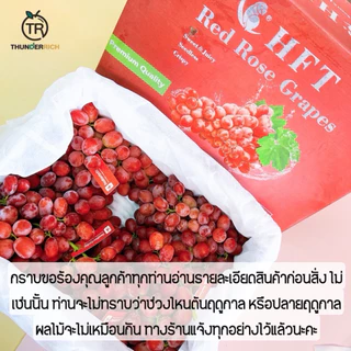 ส่งฟรี‼️สินค้าเข้าใหม่ 17/8/69‼️ Sweet Scarlet Grape 🍇🇨🇳 องุ่นแดงไร้เมล็ดลิ้นจี่กล่องแดงนกแก้ว🛳️