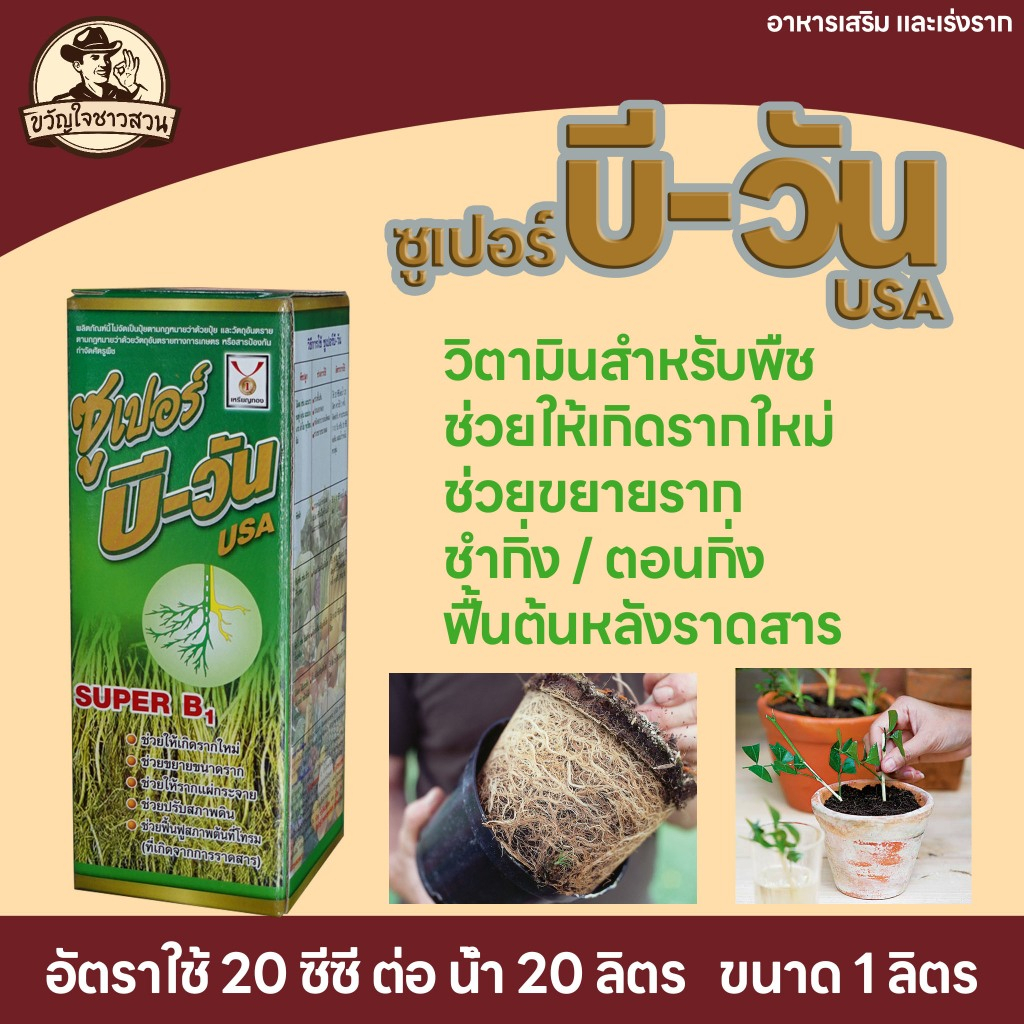 B1 ซุปเปอร์ บี วัน (1 ลิตร) น้ำยาเร่งราก กระตุ้นราก กิ่งตอน กระตุ้นรากฝอย