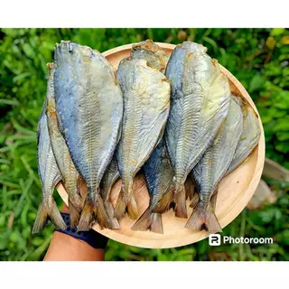 อาหารทะเลแปรรูป "ปลาสีกุน " น้ำหนัก 1 กิโลกรัม และ 500 กรัม สินค้าไม่พร้อมทาน สินค้าขายดีมาก มีส่งแบบเก็บเงินปลายทาง