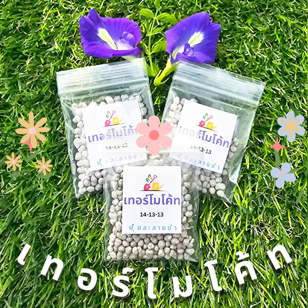 ปุ๋ยเทอร์โมโค้ท📌สูตร 3 เดือน🎯ถูกที่สุด10 บ.🎯ปุ๋ยละลายช้าด้วยความร้อนเหมาะกับไม้ใบ🌺ไม้ดอก 🌷แคคตัส🌵กระบองเพชร🥬บำรุงพืชงาม