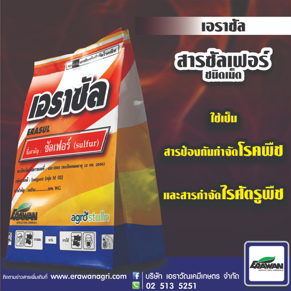 ซัลเฟอร์ 80 wg กำมะถันเนื้อทอง ( เอราซัล ) 1Kg กำมะถันไล่งู กำมะถัน กำมะถันผง กำมะถันฉีดพืช กำมะถันทอง