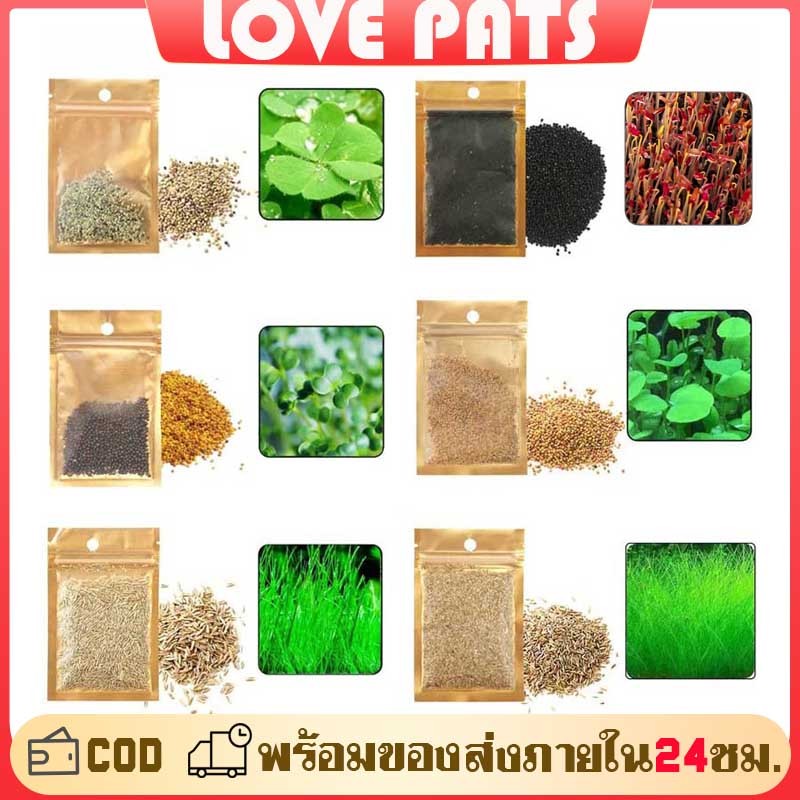 ไม้น้ำ เมล็ดไม้น้ำ เมล็ดพันธ์ุไม้น้ำ ต้นไม้ปลูกในน้ำ ถุงใหญ่ 5 กรัม หญ้าวัวเล็ก ใบคู่เล็ก โคลเวอร์ เลิฟกลาส หญ้าหัวใจ