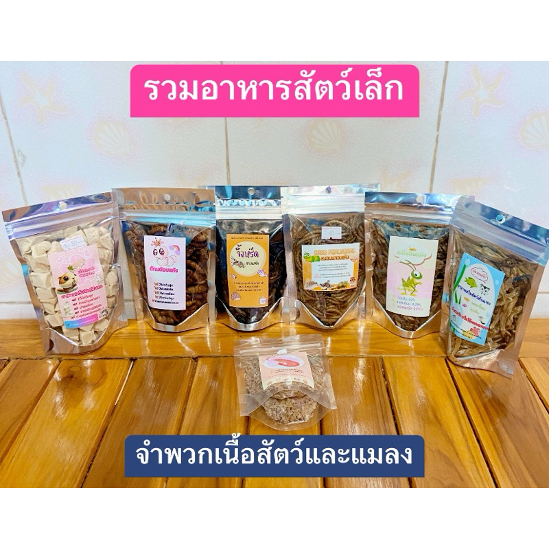 รวมอาหารสัตว์เล็กที่ทานเนื้อและแมลงได้สูรโปรตีนและแคลเซี่ยม