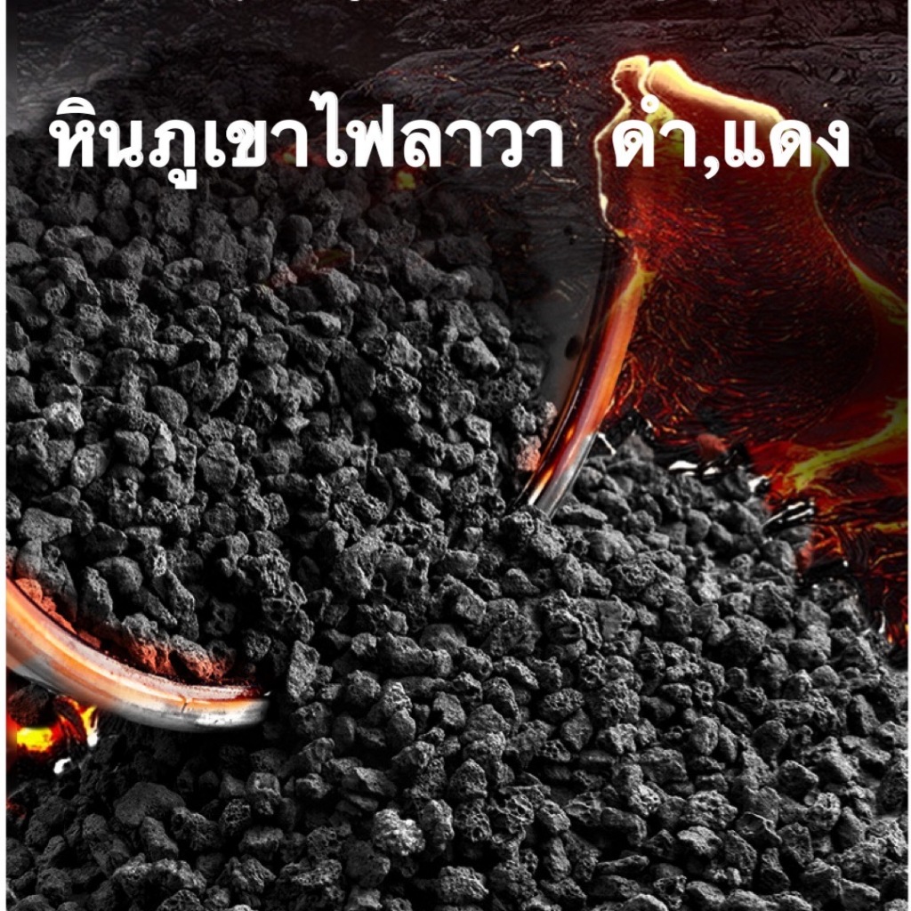 รูปภาพ 9