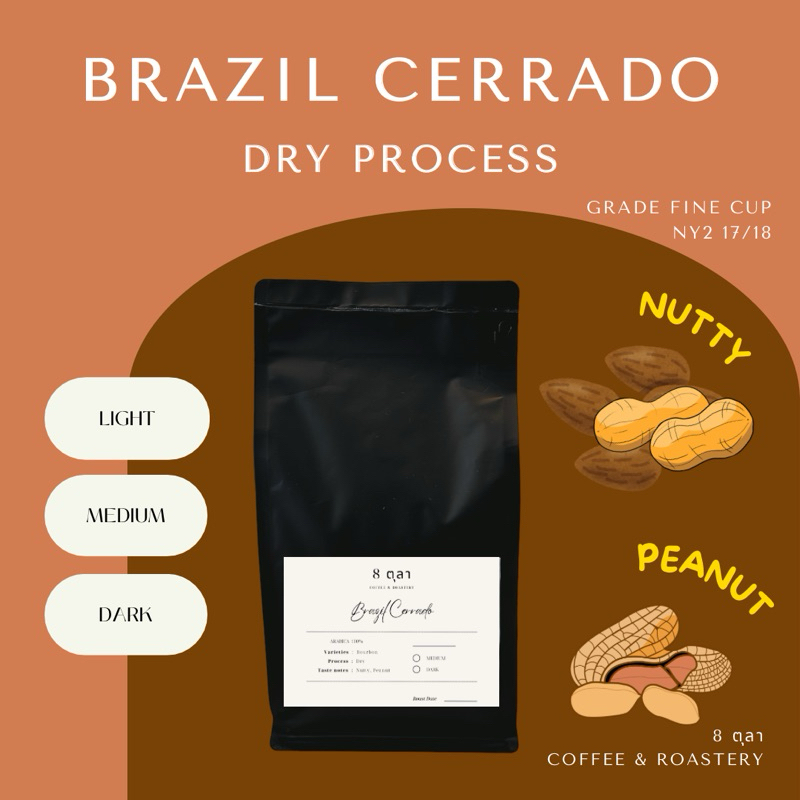 8 OCTOBER l เมล็ดกาแฟคั่ว Brazil Cerrado