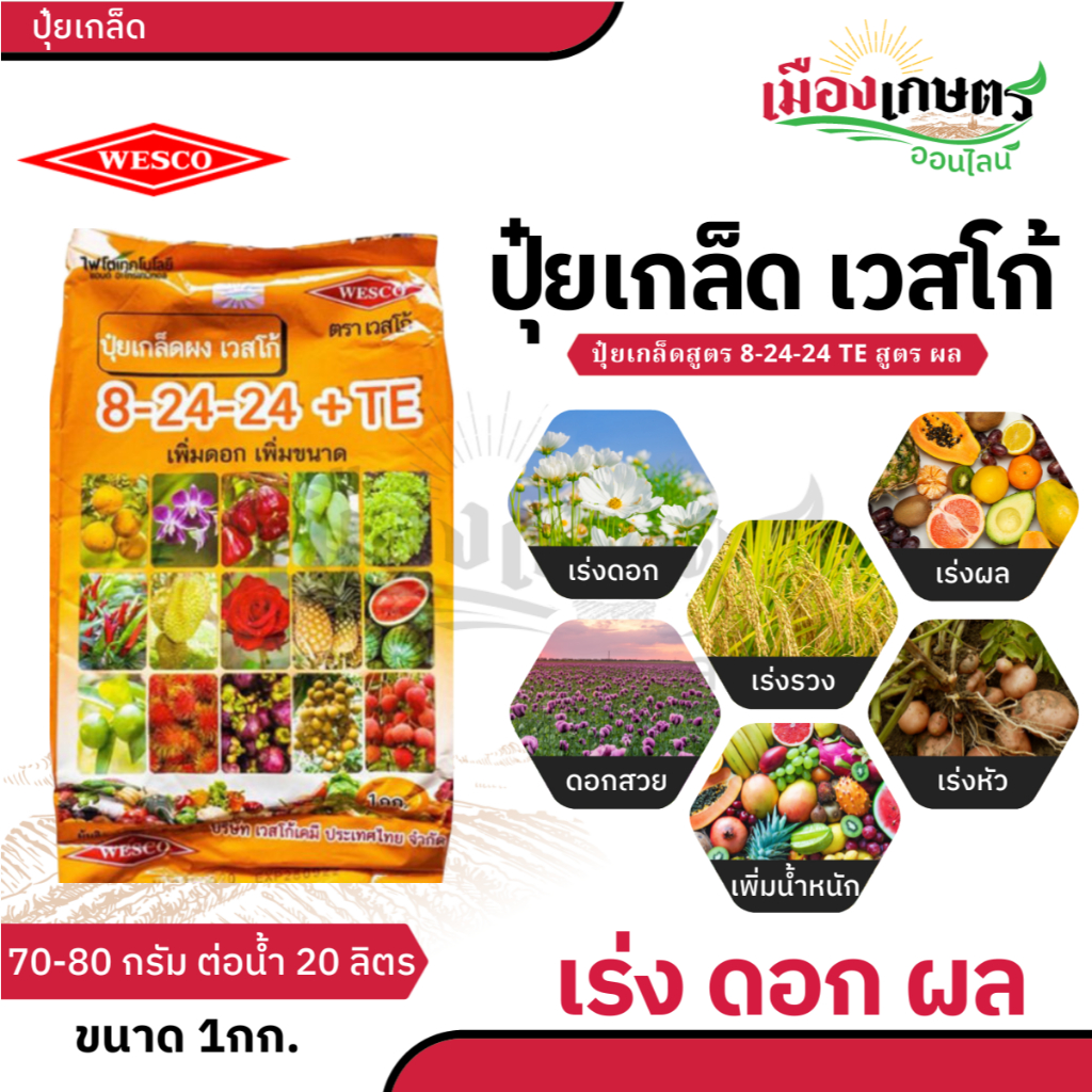 ปุ๋ย ปุ๋ยเกล็ด เวสโก้ ปุ๋ย เกล็ด 6 32 32 20 20 20 21 21 21 20 10 30 TE ขนาด 1 กิโลกรัม ฮอร์โมนพืช เสริมการเจริญเติบโต - รูปที่ 7