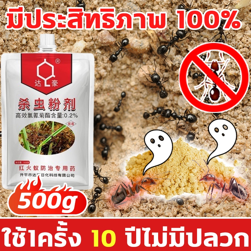 ไร้มดในรอบ 10 ปี AP เหยื่อกำจัดมด มดตายยกรัง กําจัดมด 500g ผลยาวนาน ปลอดภัยและมีประสิทธิภาพ Ant Killer