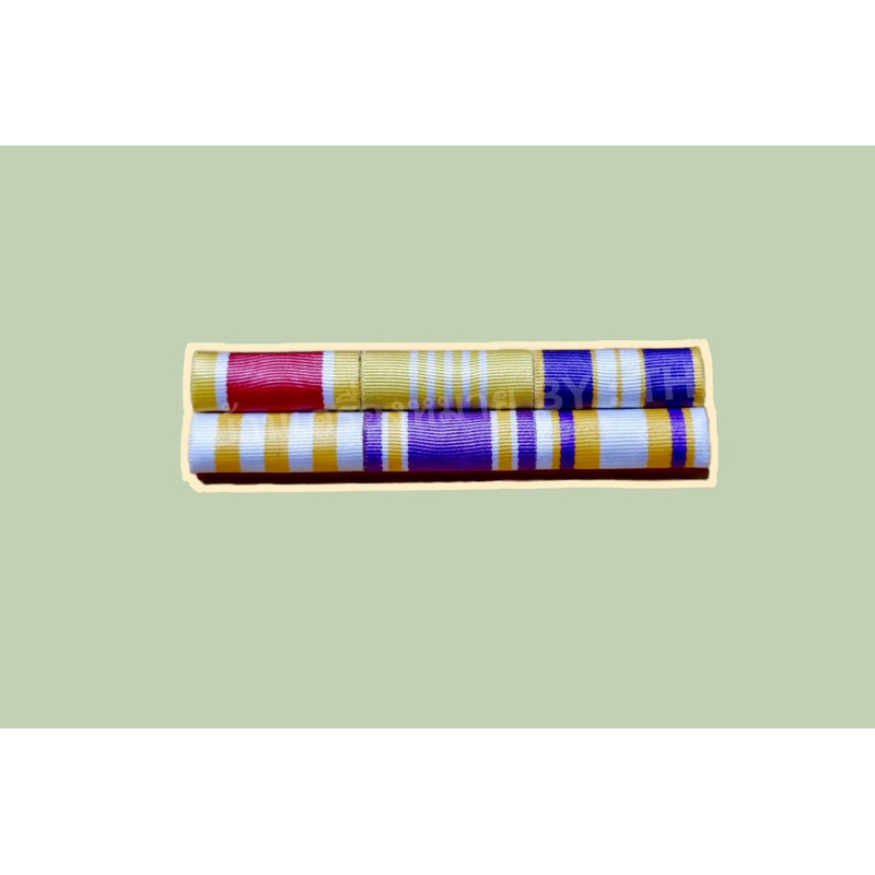 แพรแถบข้าราชการทั่วไป แบบใหม่ล่าสุด - รูปที่ 3