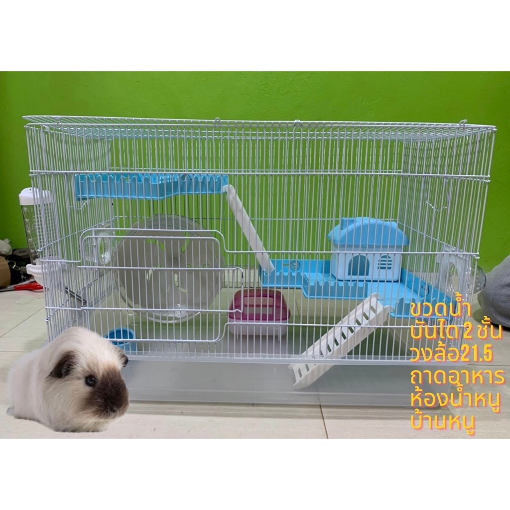 กรงหนู กรงดอร์เมาส์ กรงสัตว์เลี้ยง กรงหนูตะเภา กรงแฮมสเตอร์ ขนาด 31x58x39 cm เปิดบนได้ (ได้รับแค่กรง)