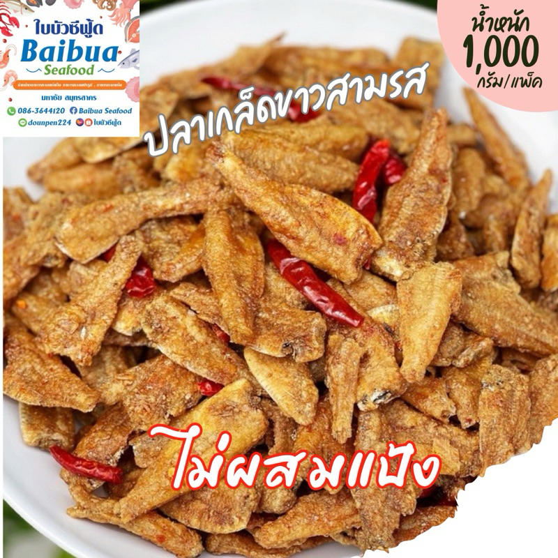ปลาเกล็ดขาวสามรส 1 กิโล ปลากรอบ ไม่ผสมแป้ง ตัวใหญ่ กรอบอร่อย สดใหม่ ไม่เหม็นหืน ส่งไว คุ้มราคา