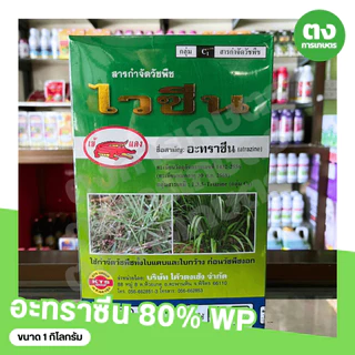 ไวซีน เข้แดง อะทราซีน 80% WP 1 กิโลกรัม ของแท้ 100% สารกำจัดวัชพืช กำจัดหญ้าใบกว้างและกก