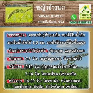 กำจัดหญ้าใบแคบ ฟิโนซาพรอบ-พี-เอทิล เนื้อครีมสีชมพู ขนาด 1 ลิตร กำจัดหญ้าดอกขาว ข้าวนก กระดูกไก่ ปล้องหิน แพรกน้ำ หางหมา