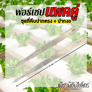 Forcep ฟอร์เซป ปากงอ ปากตรง คุณภาพดี จากสแตนเลส สำหรับคีบเมล็ดผักลงฟองน้ำ