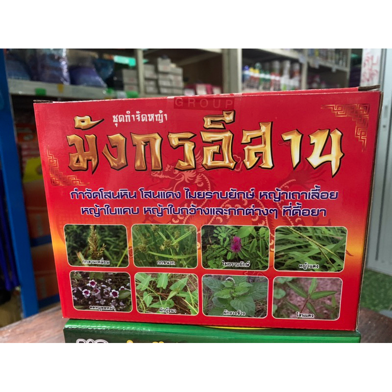 ชุดกำจัดหญ้ามังกรอีสาน