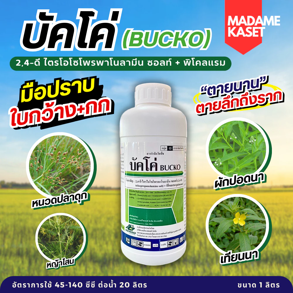 บัคโค่ (2,4-ดี ไตรโอโซโพรพาโนลามีน ซอลท์ + พิโคลแรม) ขนาด 1 ลิตร เก่งวัชพืชใบกว้าง ผักปอด หญ้ากก โสน เครือเถา ผักบุ้ง