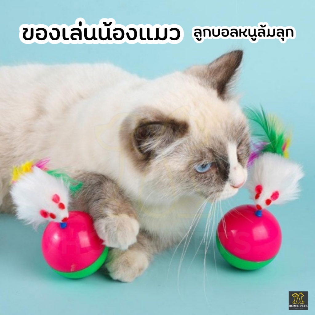 ของเล่นเเมว,ของเล่นสัตว์เลี้ยงลูกบอลหนูล้มลุกสร้างความสนุกสนานให้กับสัตว์เลี้ยงของเล่นยอดนิยมทาสแมวต้องมีราคาดีต่อใจ