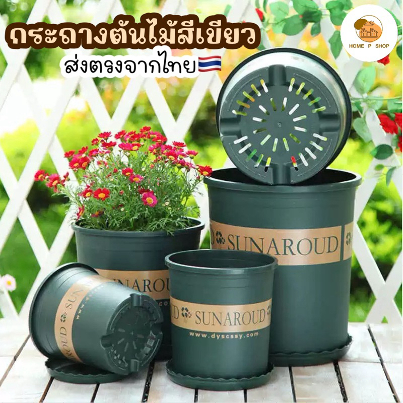 -Home P Shop- กระถางต้นไม้พลาสติกสีเขียว ระบายน้ำดี กระถางดอกไม้ญี่ปุ่นสีเขียว ส่งจากไทยไม่ต้องรอของ