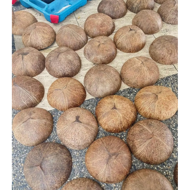 กะลามะพร้าวฝาล่าง ขัดสะอาด