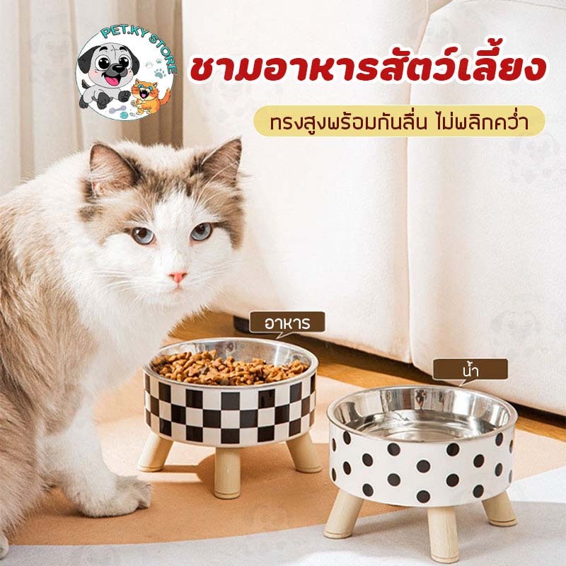 [พร้อมส่งในไทย ] ชามอาหารสัตว์เลี้ยง ทรงชามสูง มีกันลื่น ดีไซน์สวยทันสมัย