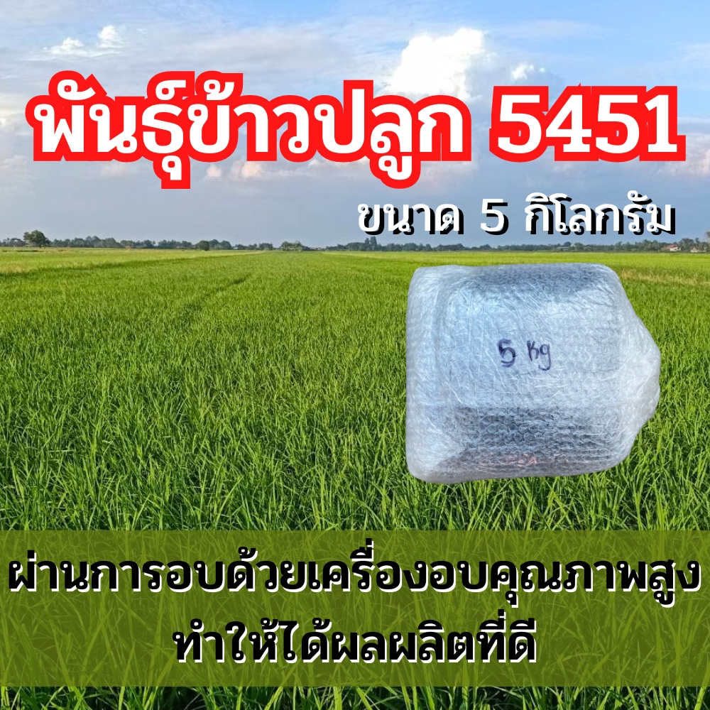 พันธุ์ข้าวปลูก 5451 พันธุ์ข้าว 5451 ข้าวปลูก 5451 เมล็ดพันธุ์ข้าว 5451 (5กิโลกรัม)