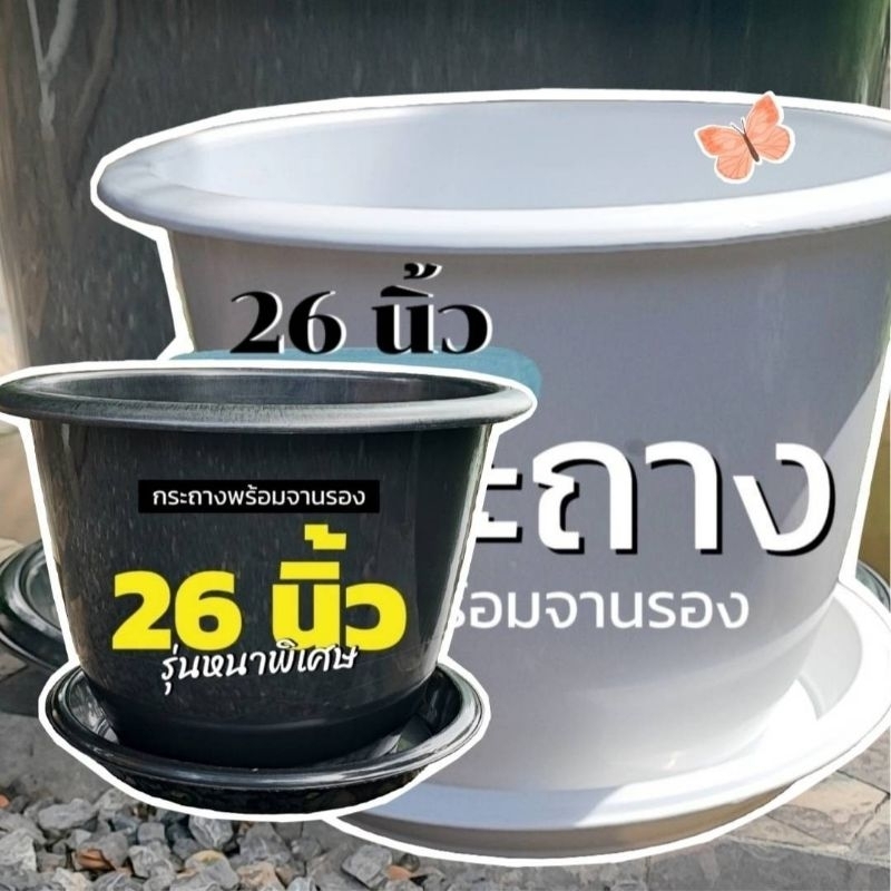 กระถาง 26 นิ้ว + จานรองขนาด 20 นิ้ว