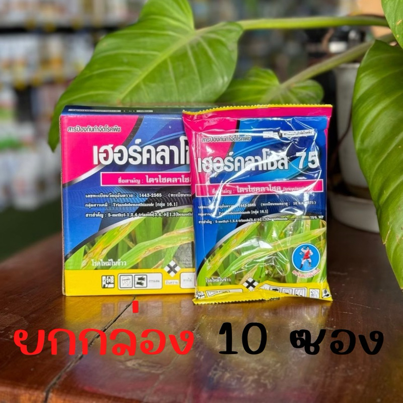 เฮอร์คลาโซล75☘️ยกลัง 100กรัมx10 ซอง☘️สารไตรไซคลาโซล75%WP