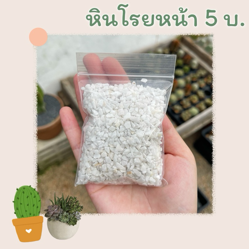 [หินโรยหน้า] สีขาว 5 บาท