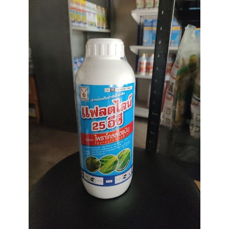 แฟลตไลน์ สารไพราโคลสโตรบิน โรคใบจุดสีน้ำตาล สารป้องกันกำจัดโรคพืช