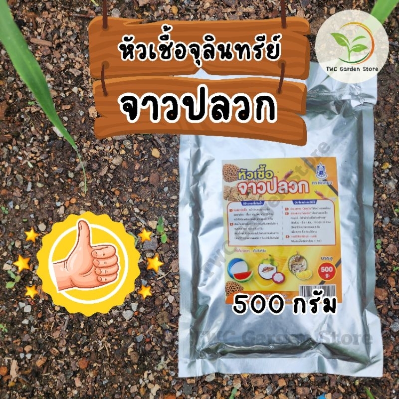 จุลินทรีย์จาวปลวก แบบผง(หัวเชื้อ) ขนาด 500 กรัม (ค่าส่งถูกกว่า !!)