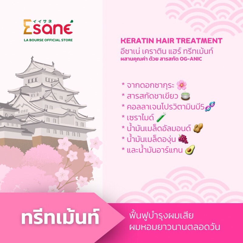 Mand in Thailand 🇹🇭 กลิ่นหอมมาก  Esane keratin hair treatment อีซาเน่ เคราติน แฮร์ทรีทเมนท์ 500มล. - รูปที่ 6