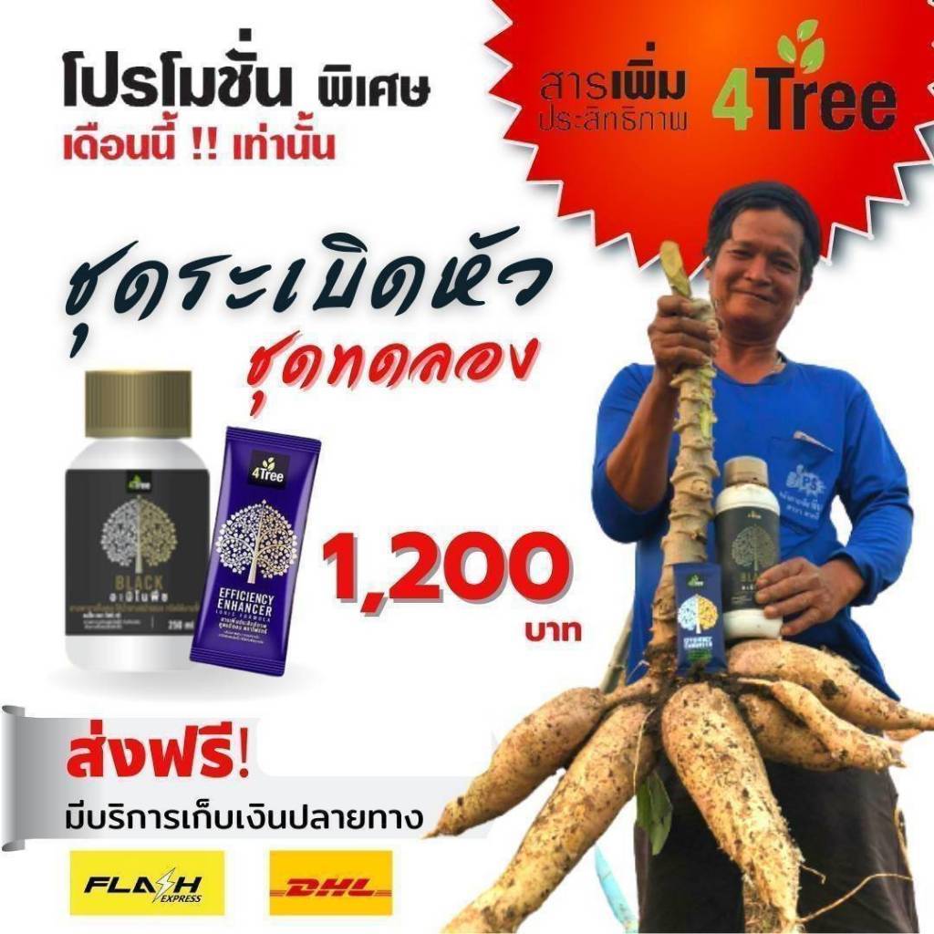 4Tree โฟร์ทรี + Amino Black อะมิโนแบล็ค ชุดใหญ่ขายดี ระเบิดหัวมัน เพิ่มน้ำหนัก​ เร่งราก สร้าง​แป้ง​