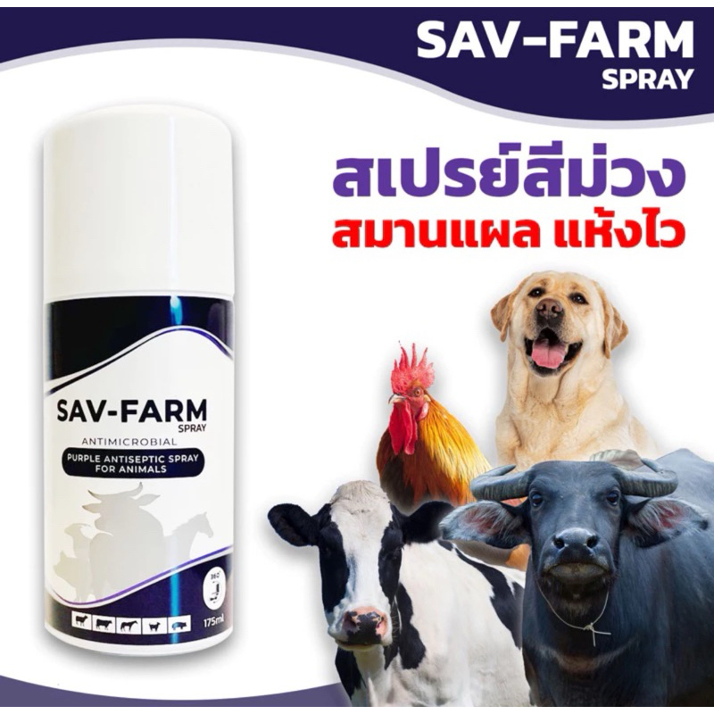 (set2กระป๋อง)[NEW]สเปร์ยม่วง SAV-FARM Spray ผลิตภัณฑ์สำหรับสัตว์เลี้ยง ขนาด 175ml.