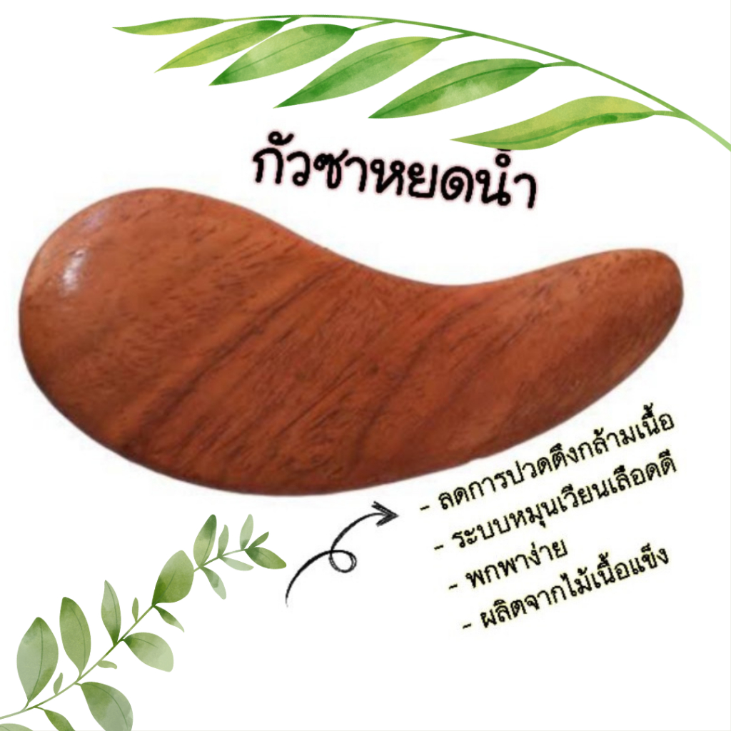 ไม้กัวซา ทรงหยดน้ำ ผลิตจากไม้ธรรมชาติ 100% เป็นเนื้อแข็ง อย่างดี สำหรับขูดกัวซาได้ทั่วร่างกาย ใช้คู่กับน้ำมันมะรุมดี