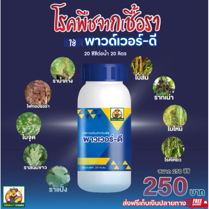 ปุ๋ยน้ำ พาวเวอร์ดี สูตรป้องกันและกำจัดเชื้อsา 90%