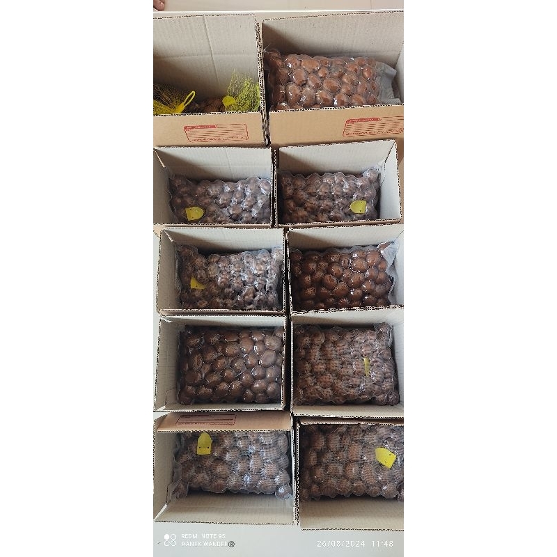 🔥👍🏼🌰1.kg.รวมกล่อง/เกาลัด🌰👍🏼🔥คั่วสด 🔥🌲มีทั้ง สุก/ดิบ🌲🔥 ไม่ผ่านการต้ม🌲นึ่งมาก่อน🔥 รูปที่ 7
