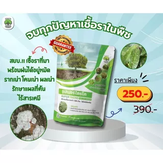 ซุปเปอร์ ไตรโคเดอร์ม่า ( ซอง1 / 500 กรัม ) กำจัดเชื้อรา สูตรเข้มข้น เชื้อ 2 เท่า แบบผง ปลอดภัย 100 %