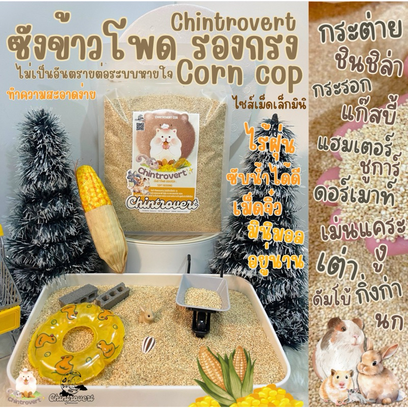 Chintrovert || ซังข้าวโพดรองกรงไซส์เม็ดเล็กจิ๋ว SS || แฮมเตอร์ ดอร์เมาท์ เต่า ชูการ์