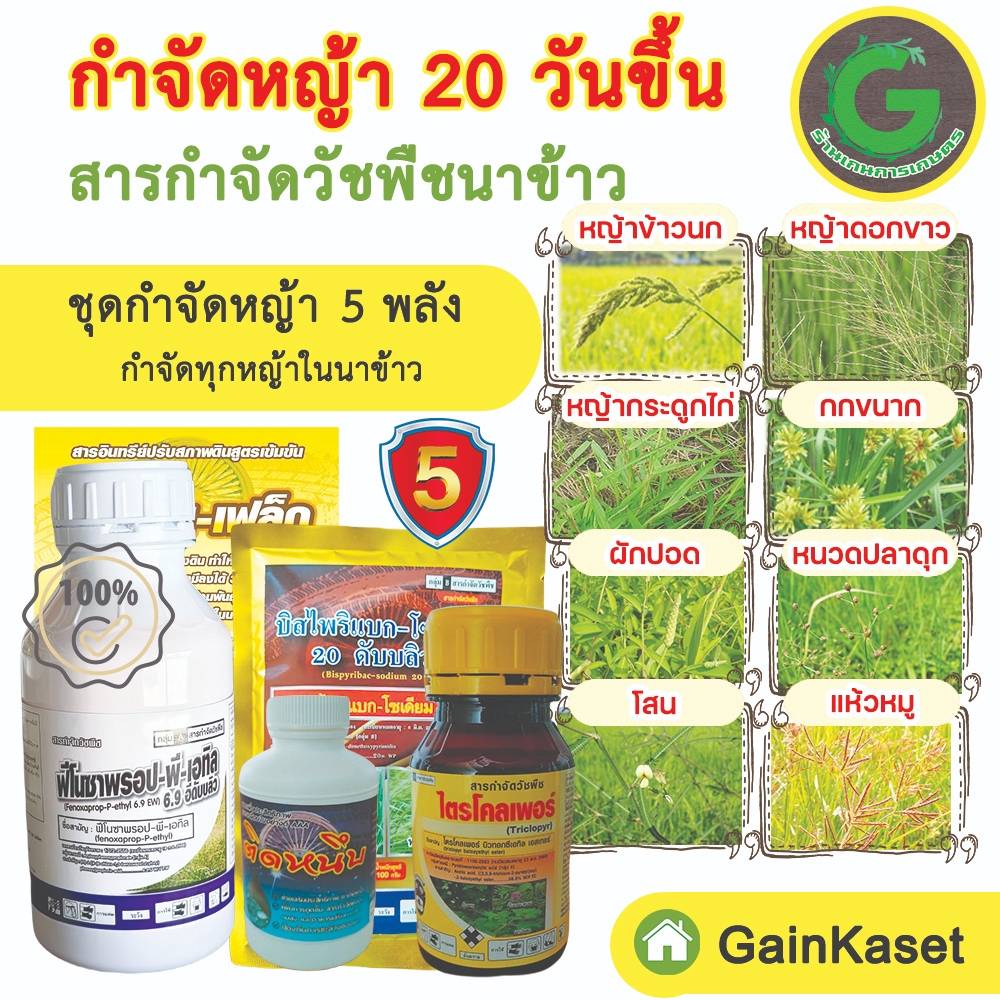 ชุดกำจัดหญ้า 5 พลังบวก ข้าวไม่เหลือง ไม่งัน ฆ่าหญ้าข้าวนก ลิเก พุ่มพวง ผักบุ้ง ผักปอด แห้วหมู กก
