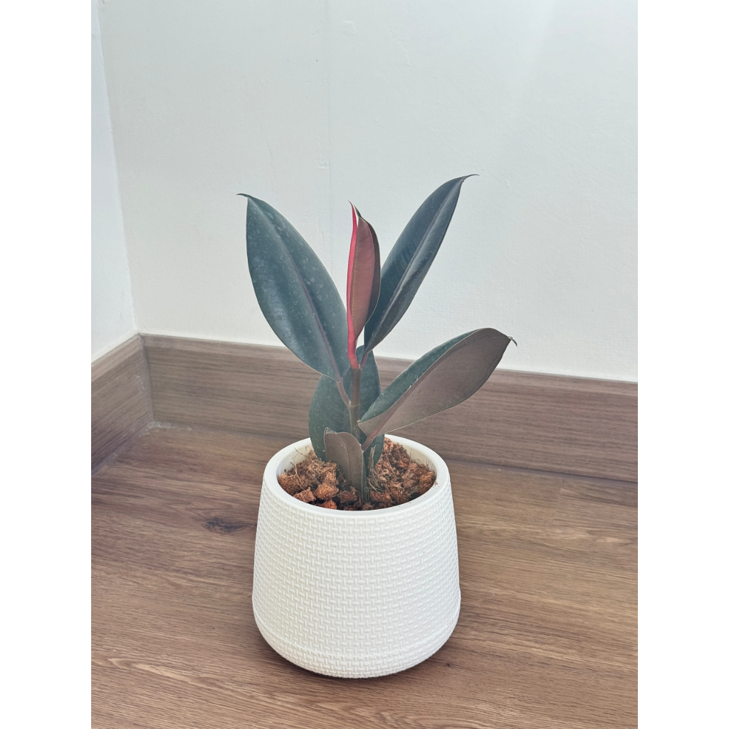 มุมมอง 3