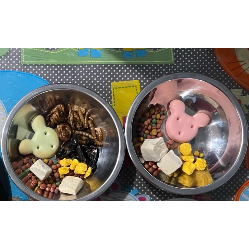 ชูการ์ อาหารสำหรับชูการ์ไกรเดอร์ ทุกสายพันธุ์ มีให้เลือกหลากหลายรส อายุ2เดือนขึ้นไป - รูปที่ 5