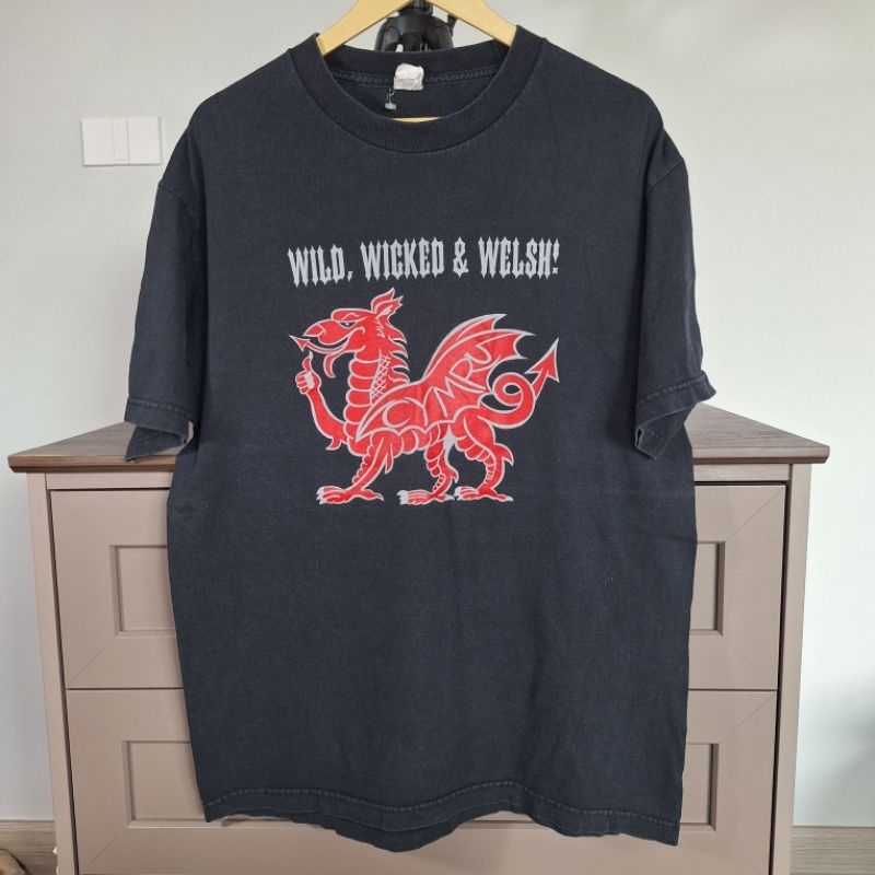 เสื้อยืด Wild Wicked and Welsh size L (Lp066)