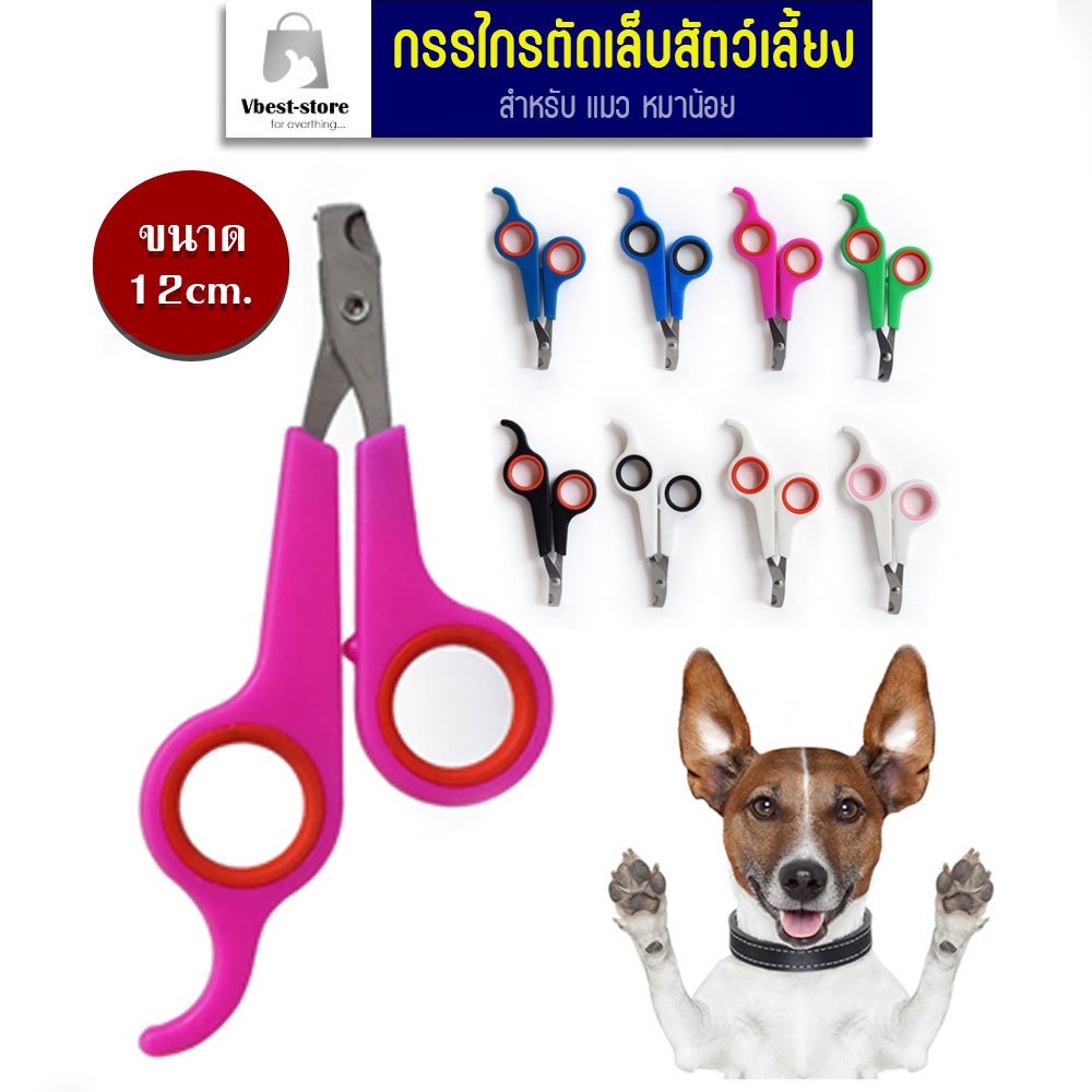 กรรไกรตัดเล็บสัตว์เลี้ยง ขนาดเล็ก สำหรับหมาแมวเล็ก ใช้ง่ายพกพาสะดวก