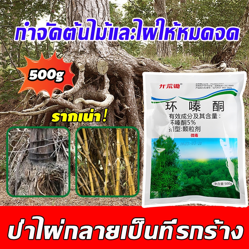 สารกำจัดกอไผ่ 500g ยากำจัดต้นไม้ ยาฆ่าตอต้นไม้ ยาฆ่าต้นไม้ใหญ ผงกำจัดต้นไม้ รากเน่าเสียทันที ไม่ทำลายดิน