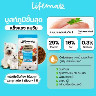 (3-15กิโล) Lifemate อาหารสุนัข เกรดHolistic บำรุงผิวหนัง&เส้นขนไม่หลุดร่วง เสริมProbiotics Omega3,6