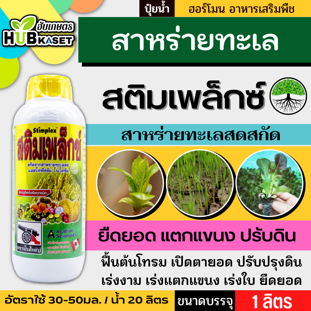 สติมเพล็กซ์ 1ลิตร (สาหร่ายสกัดทะเล) เร่งงาม ยืดยอด แตกแขนง